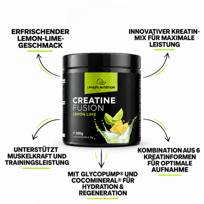 Fitness Starter Paket: Daily Protein + Creatine Fusion – Pre-Workout & Shaker gratis
